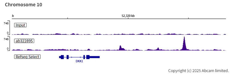 ChIP-sequencing - Anti-Gata6 antibody [EPR29847-53] - BSA and Azide free (AB326609)
