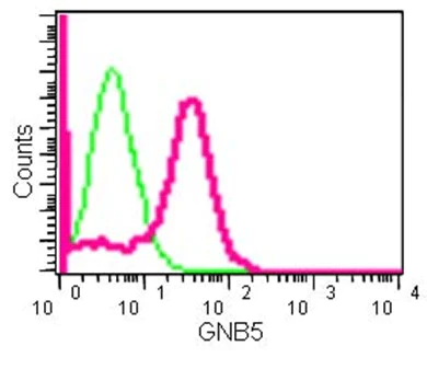 Flow Cytometry (Intracellular) - Anti-Gbeta5 antibody [EPR14778] - BSA and Azide free (AB250806)