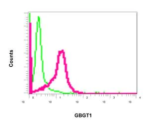 Flow Cytometry (Intracellular) - Anti-GBGT1 antibody [EPR10467] (AB154837)