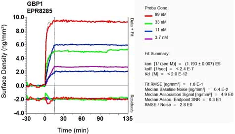 OI-RD Scanning - Anti-GBP1 antibody [EPR8285] - BSA and Azide free (AB240050)