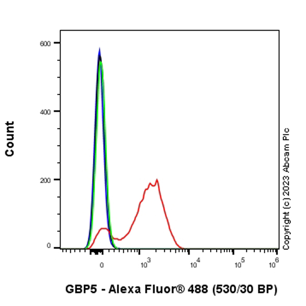 Flow Cytometry (Intracellular) - Anti-GBP5 antibody [EPR28367-83] - BSA and Azide free (AB313391), expandable thumbnail