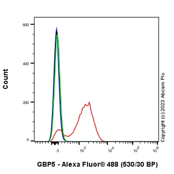 Flow Cytometry (Intracellular) - Anti-GBP5 antibody [EPR28367-83] - BSA and Azide free (AB313391)