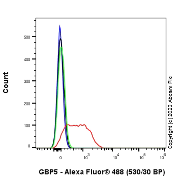 Flow Cytometry (Intracellular) - Anti-GBP5 antibody [EPR28367-83] - BSA and Azide free (AB313391)