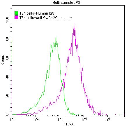 Flow Cytometry - Anti-GC-C antibody [2E5] - Human IgG1 (Chimeric) (AB314020), expandable thumbnail