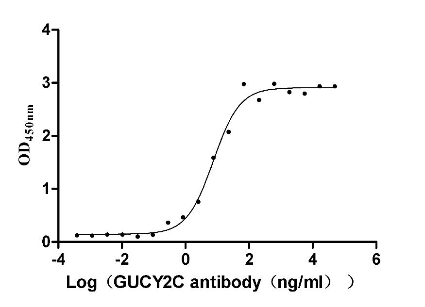 Functional Studies - Anti-GC-C antibody [2E5] - Human IgG1 (Chimeric) (AB314020), expandable thumbnail