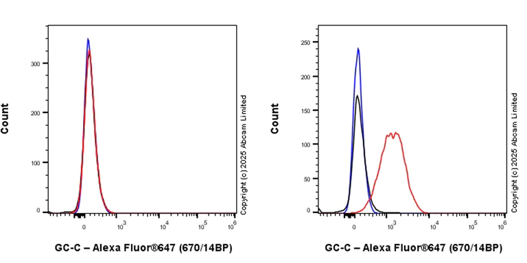 Flow Cytometry - Anti-GC-C antibody [EPR29752-507] - BSA and Azide free (AB323813)