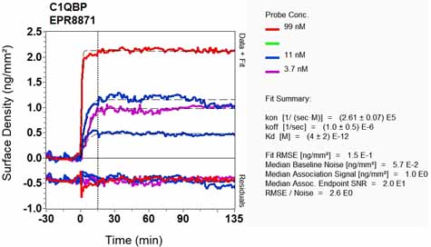 OI-RD Scanning - Anti-GC1q R antibody [EPR8871] - BSA and Azide free (ab238965), expandable thumbnail