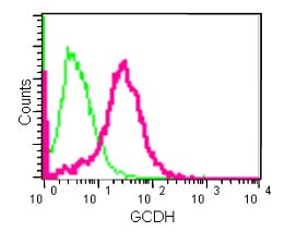 Flow Cytometry (Intracellular) - Anti-GCDH/GCD antibody [EPR14864(B)] (AB182152)