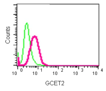 Flow Cytometry (Intracellular) - Anti-GCET2 antibody [EPR14333-60] - BSA and Azide free (AB250830)