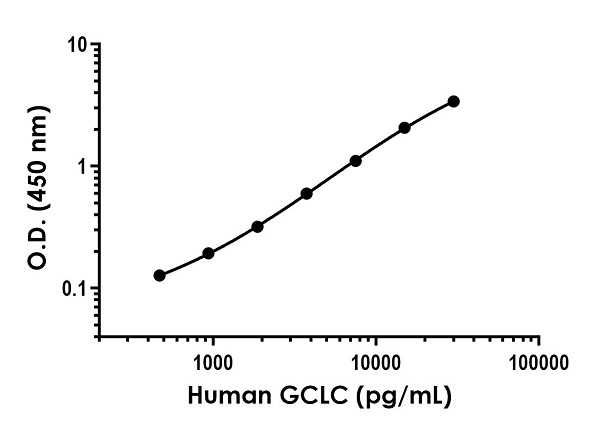 Sandwich ELISA - Anti-GCLC antibody [EPR20078-109] - BSA and Azide free (Capture) (AB242684), expandable thumbnail