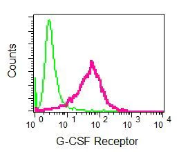 Flow Cytometry (Intracellular) - Anti-GCSF Receptor antibody [EPR8957] (AB156878)