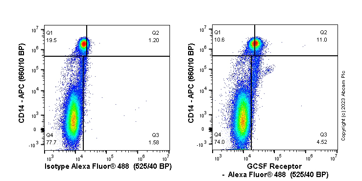Flow Cytometry (Intracellular) - Anti-GCSF Receptor antibody [EPR8957] (AB156878), expandable thumbnail