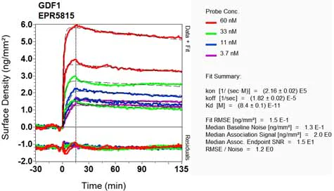OI-RD Scanning - Anti-GDF1 antibody [EPR5815] - BSA and Azide free (AB184782)