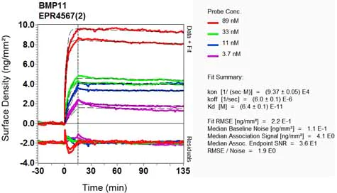 OI-RD Scanning - Anti-GDF11 + GDF8/Myostatin antibody [EPR4567(2)] (AB124721)