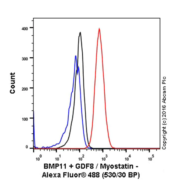 Flow Cytometry (Intracellular) - Anti-GDF11 + GDF8/Myostatin antibody [EPR4567(2)] - BSA and Azide free (AB187407)