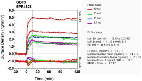 OI-RD Scanning - Anti-GDF3 antibody [EPR4828] (AB108617)