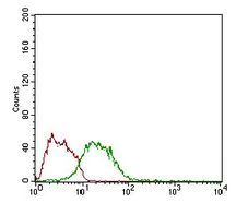 Flow Cytometry - Anti-GDF8 / Myostatin antibody [6E4B2] (AB201954)