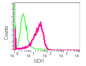 Flow Cytometry (Intracellular) - Anti-GDI1 antibody [EPR13195] (AB181213)