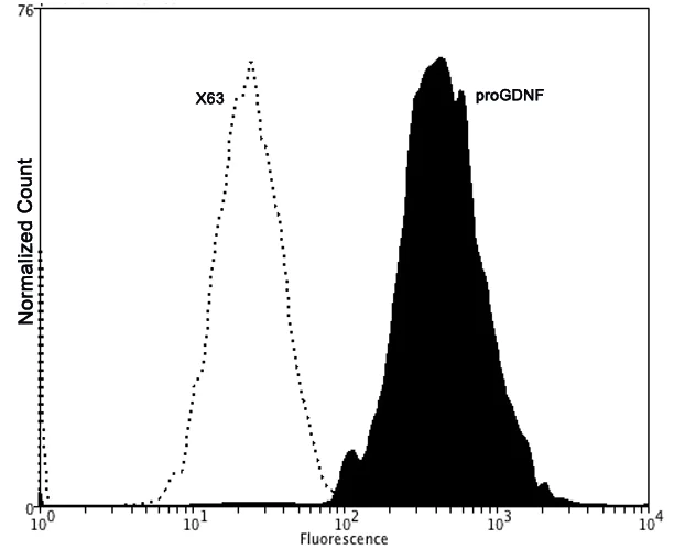 Flow Cytometry (Intracellular) - Anti-GDNF antibody [BS376] (AB244211)
