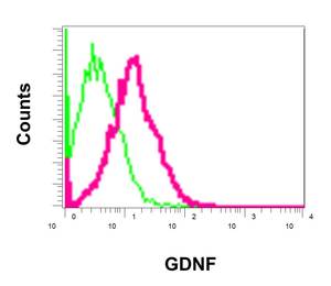 Flow Cytometry (Intracellular) - Anti-GDNF antibody [EPR2714(N)] - BSA and Azide free (AB249924), expandable thumbnail