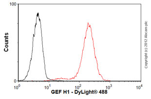 Flow Cytometry - Anti-GEF H1 antibody [B4/7] (AB90783)