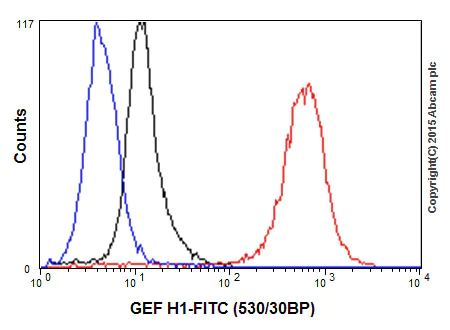 Flow Cytometry (Intracellular) - Anti-GEF H1 antibody [EPR17963] - C-terminal (AB201687)
