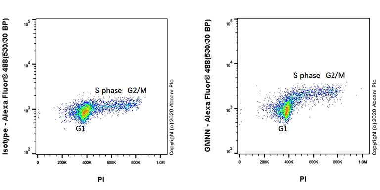Flow Cytometry (Intracellular) - Anti-Geminin antibody [EPR23754-87] - BSA and Azide free (AB273633)