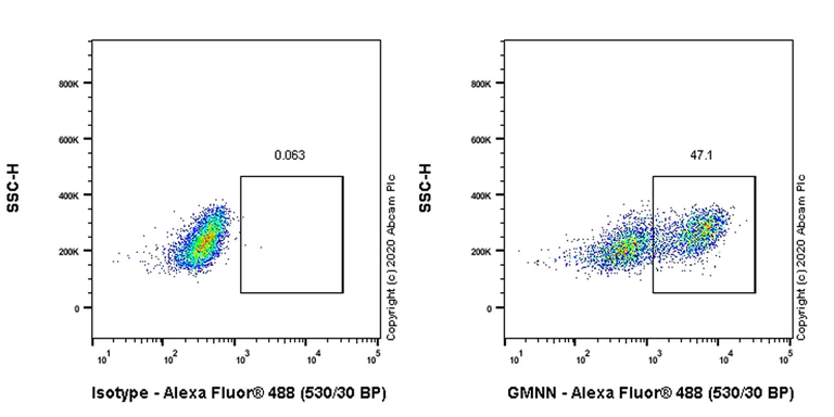 Flow Cytometry (Intracellular) - Anti-Geminin antibody [EPR23754-87] - BSA and Azide free (AB273633)