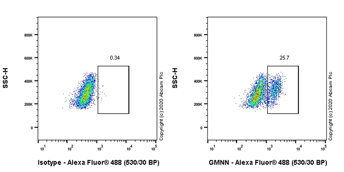 Flow Cytometry (Intracellular) - Anti-Geminin antibody [EPR23754-87] - BSA and Azide free (ab273633), expandable thumbnail