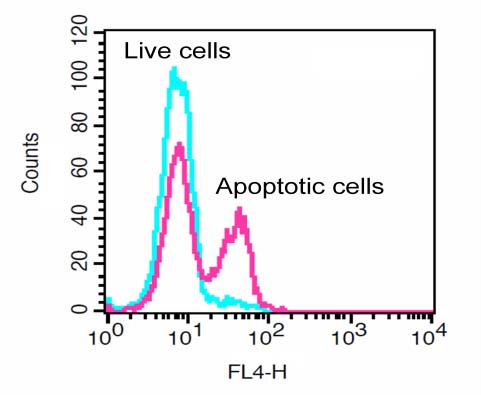 Flow Cytometry - Generic Caspase Activity Assay Kit (Fluorometric - Red) (AB112131)