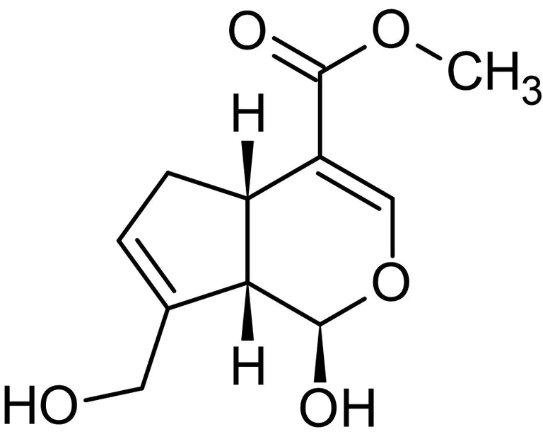 Chemical Structure - Genipin, Cell-permeable uncoupling protein 2 inhibitor (AB141049)