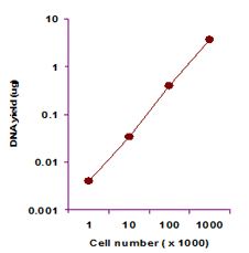 Purification - Genomic DNA Extraction Kit (AB156900), expandable thumbnail