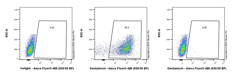 Flow Cytometry (Intracellular) - Anti-Gentamicin antibody [EPR27991-65] - BSA and Azide free (AB314127)