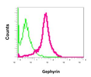 Flow Cytometry (Intracellular) - Anti-Gephyrin antibody [EPR12651(B)] (AB177154), expandable thumbnail