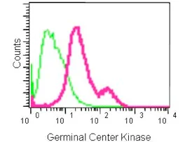 Flow Cytometry (Intracellular) - Anti-Germinal Center Kinase/GCK antibody [EPR14304] - BSA and Azide free (AB250726)