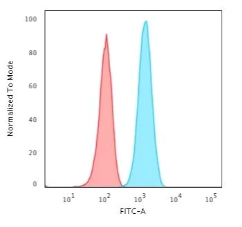 Flow Cytometry - Anti-GFAP antibody [ASTRO/1974R] - Astrocyte Marker (AB270270)
