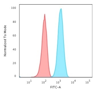 Flow Cytometry - Anti-GFAP antibody [ASTRO/1974R] - BSA and Azide free (AB270301), expandable thumbnail