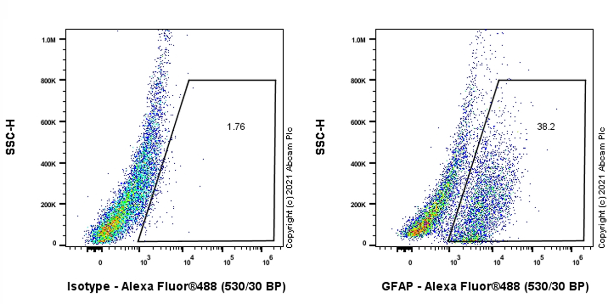 Flow Cytometry (Intracellular) - Anti-GFAP antibody [EPR1034Y] - Astrocyte Marker (AB68428), expandable thumbnail
