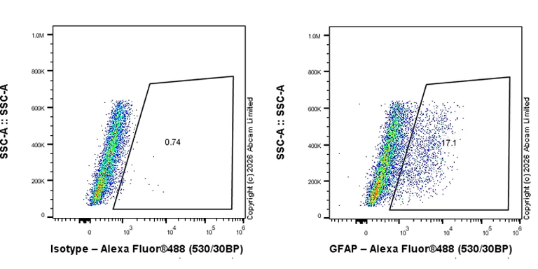 Flow Cytometry (Intracellular) - Anti-GFAP antibody [EPR1034Y] - Astrocyte marker - Chicken IgY (Chimeric) (AB323239)