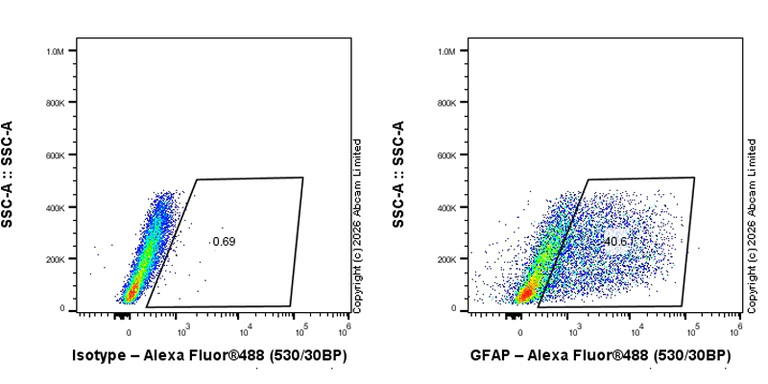 Flow Cytometry (Intracellular) - Anti-GFAP antibody [EPR1034Y] - Astrocyte marker - Chicken IgY (Chimeric) (AB323239)