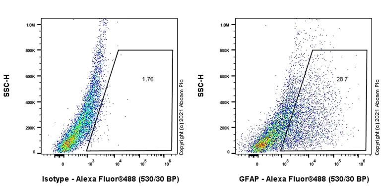 Flow Cytometry (Intracellular) - Anti-GFAP antibody [EPR19996] - BSA and Azide free (AB223127)