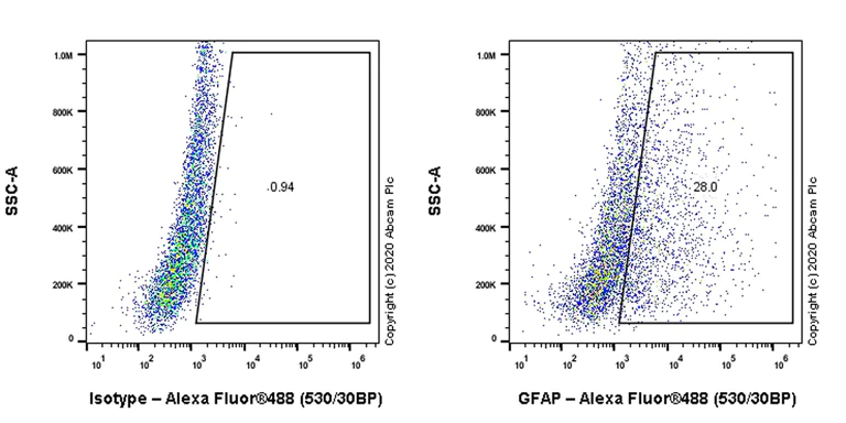 Flow Cytometry (Intracellular) - Anti-GFAP antibody [RM1003] - BSA and Azide free (AB283862)