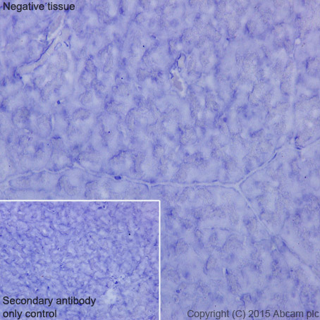 Immunohistochemistry (Formalin/PFA-fixed paraffin-embedded sections) - Anti-GFP antibody [EPR14104] (ab183734), expandable thumbnail