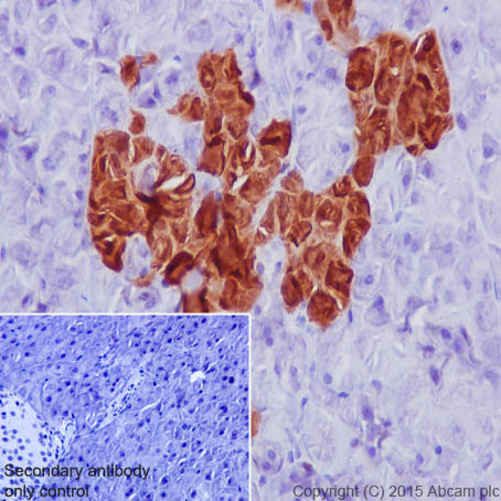 Immunohistochemistry (Formalin/PFA-fixed paraffin-embedded sections) - Anti-GFP antibody [EPR14104] (AB183734), expandable thumbnail