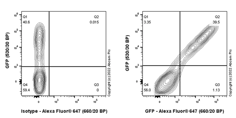 Flow Cytometry (Intracellular) - Anti-GFP antibody [EPR14104] - Chicken IgY (Chimeric) (AB300643)