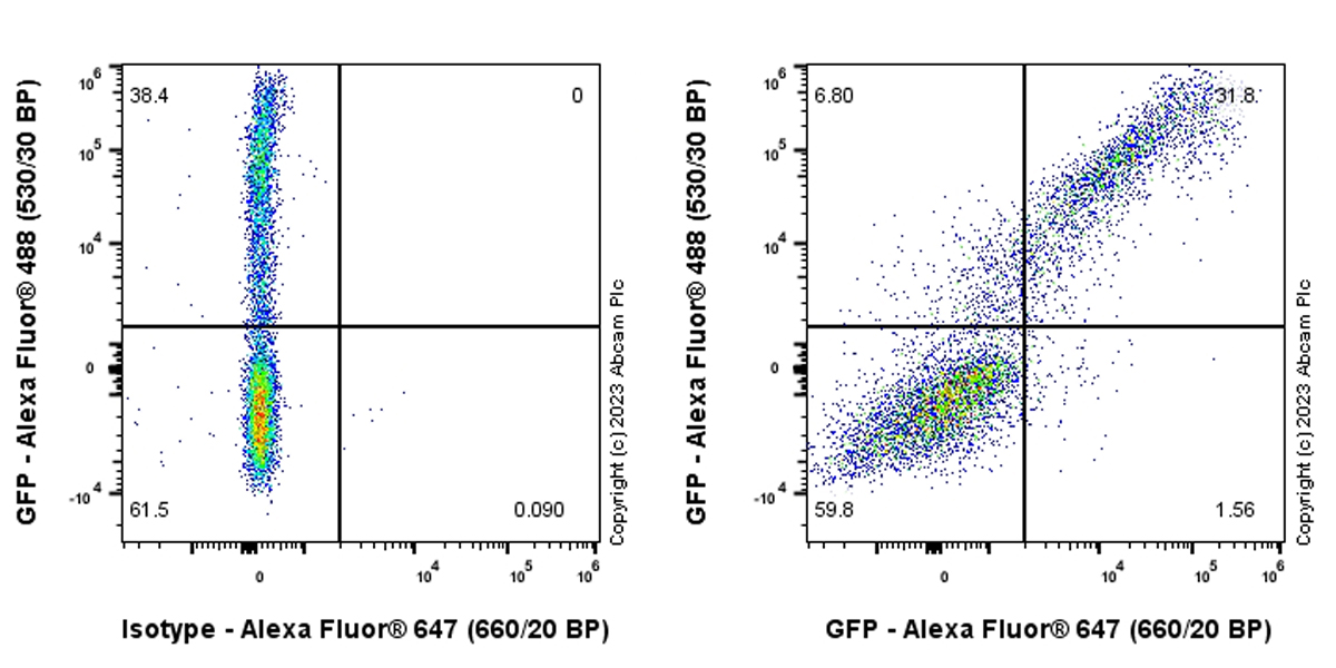 Flow Cytometry (Intracellular) - Anti-GFP antibody [EPR28018-38] (AB314656), expandable thumbnail