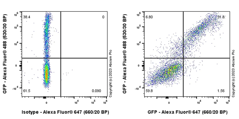 Flow Cytometry (Intracellular) - Anti-GFP antibody [EPR28018-38] - BSA and Azide free (AB314657)