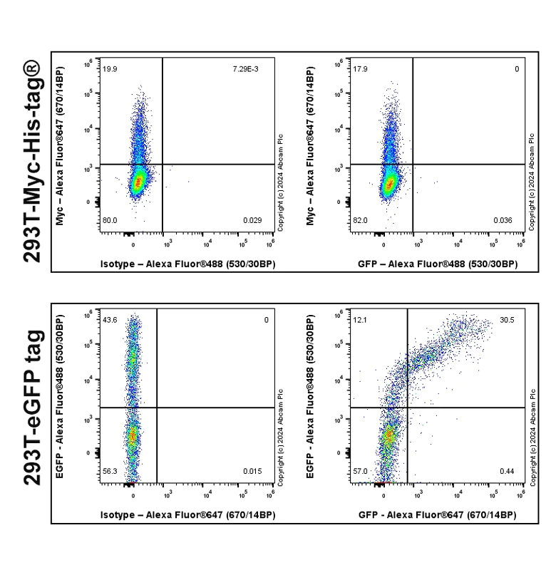 Flow Cytometry (Intracellular) - Anti-GFP antibody [RM1064] - BSA and Azide free (AB316292)