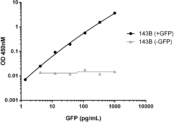ELISA - GFP ELISA Kit (AB171581), expandable thumbnail