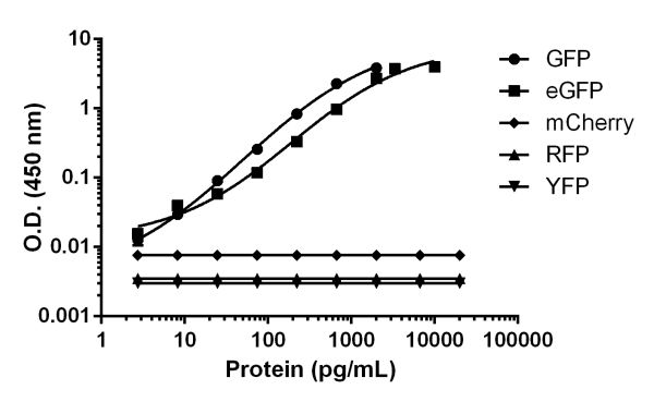 ELISA - GFP ELISA Kit (AB171581), expandable thumbnail